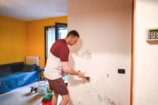 Best Home Mold Removal  in Hamilton College, NY